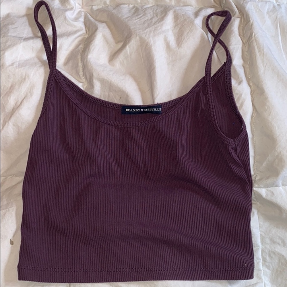 Dark Purple Brandy melville crop top